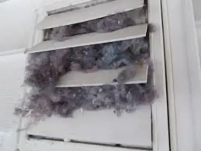 Heavily clogged dryer exhaust vent — primary cause of flow sense errors