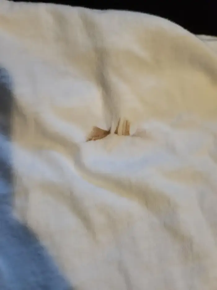Synthetic fabric with scorch marks from LG dryer overheating
